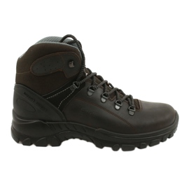 Scarpe Grisport Marrone Kaiteki M 13326D1G