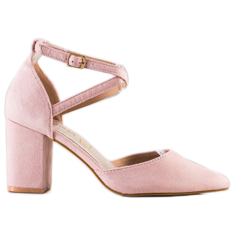 Sabatina Pompe per polvere rosa