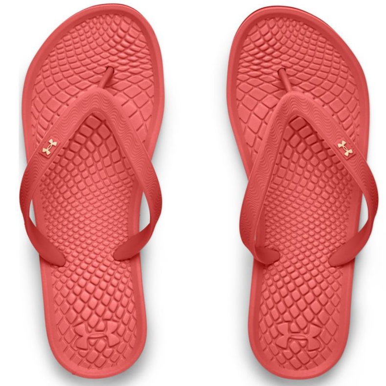 Under Armour Atlantic Dune TW 3022 716 603 infradito rosso rosa