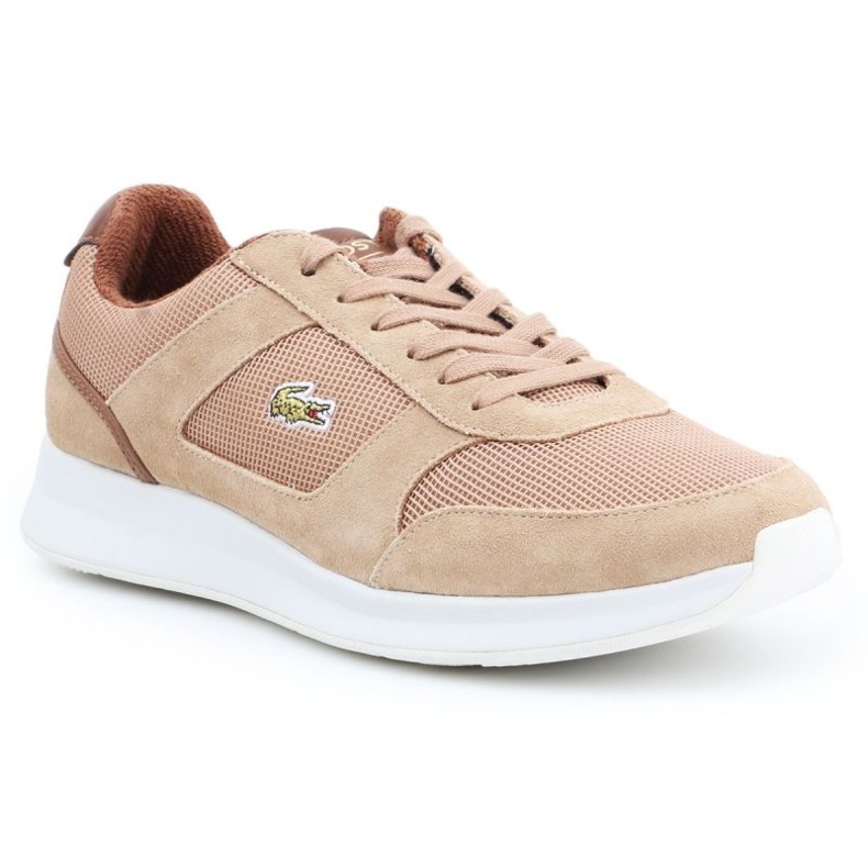 Lacoste Joggeur 317 3 Spm Lt M 7-34SPM00174D8 marrone