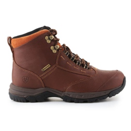 Scarpe Ariat Berwick Gtx W 10016298 marrone