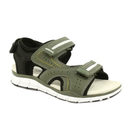 American Club Sports Sports Boys Inserisci ES33/21 Kaki verde