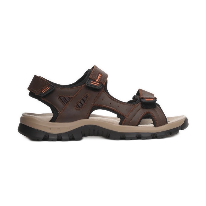 Vices Morse 9SD9176L-SKORA-54-marrone