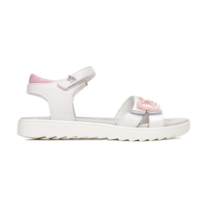 Vices Morse B-3156-83-bianco/rosa bianca