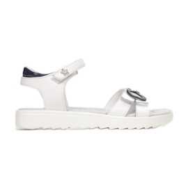 Vices Morse B-3156-101-bianco / blu bianca