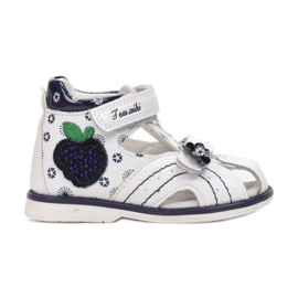Vices Morse B-3234-93-d.blue bianca blu navy