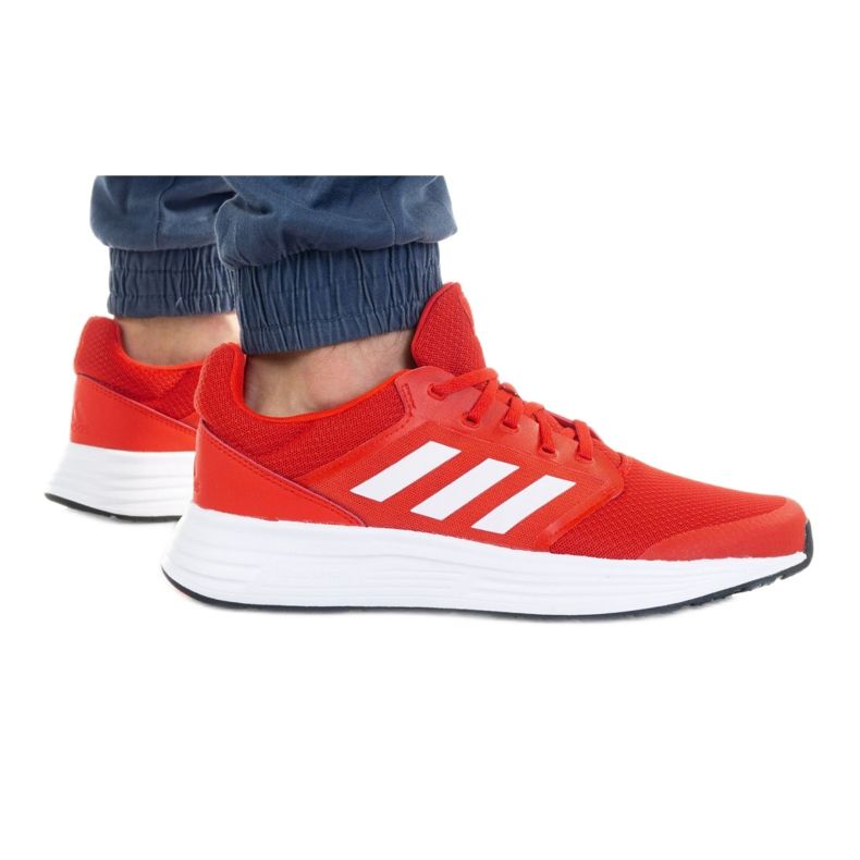 Scarpe adidas Galaxy 5 Vived M FY6721 rosso