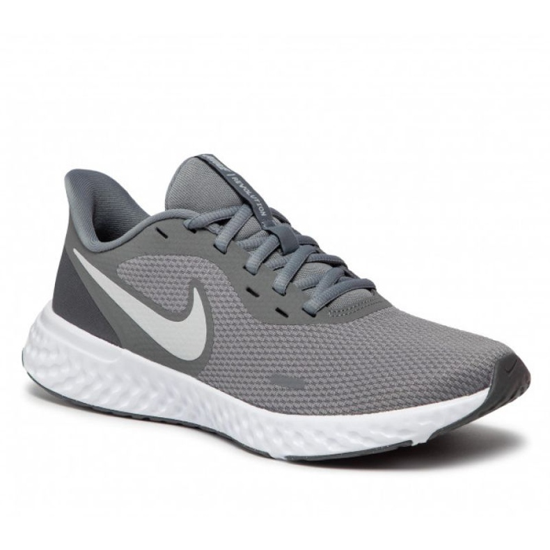 Scarpa Nike Revolution 5 M BQ3204-005 grigio