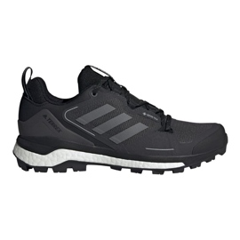 Scarpe Adidas Terrex Skychaser 2 Gtx M FX4547 nero
