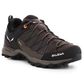 Scarpe da trekking Salewa Mtn Trainer Lite Gtx 61361-7512 marrone