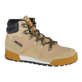 Scarpe Adidas Terrex Snowpitch Cold.Rdy M FZ3377 beige