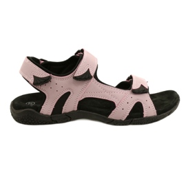 Sandali American Club HL53/22 con inserto in pelle Lt.Purple viola rosa