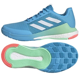 Scarpe da pallavolo Adidas CrazyFlight M GW5095 blu blu
