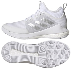 Scarpe da pallavolo Adidas CrazyFlight Mid W GY9278 bianco bianco