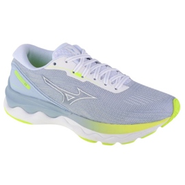 Scarpe Mizuno Wave Skyrise 3 J1GD220901 grigio