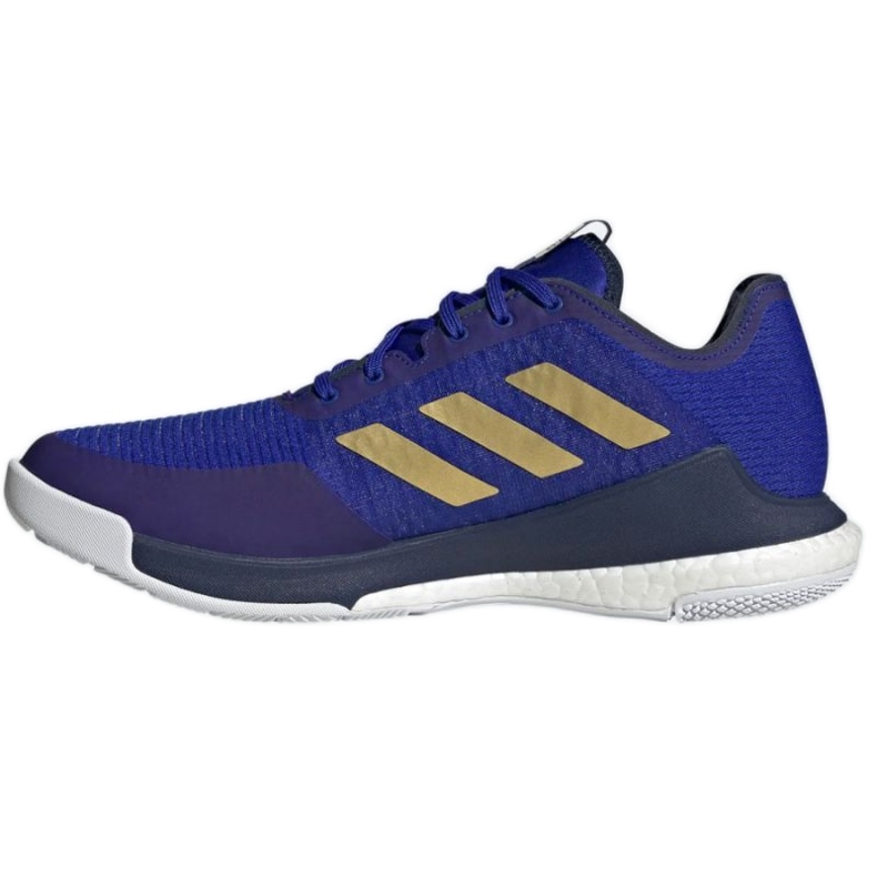 Scarpe da pallavolo adidas CrazyFlight Mid M HQ3488 blu blu