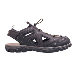 Sandali da uomo REGATTA Westhore 3 RMF735-T3D marrone multicolore