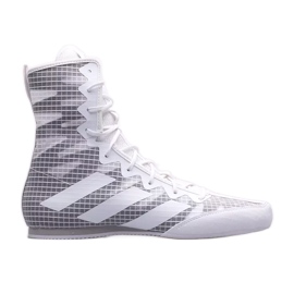 Scarpe da boxe adidas Box Hog 4 GZ6118 grigio
