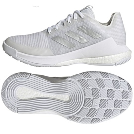 Scarpe da pallavolo adidas CrazyFlight W HR0635 bianco bianco