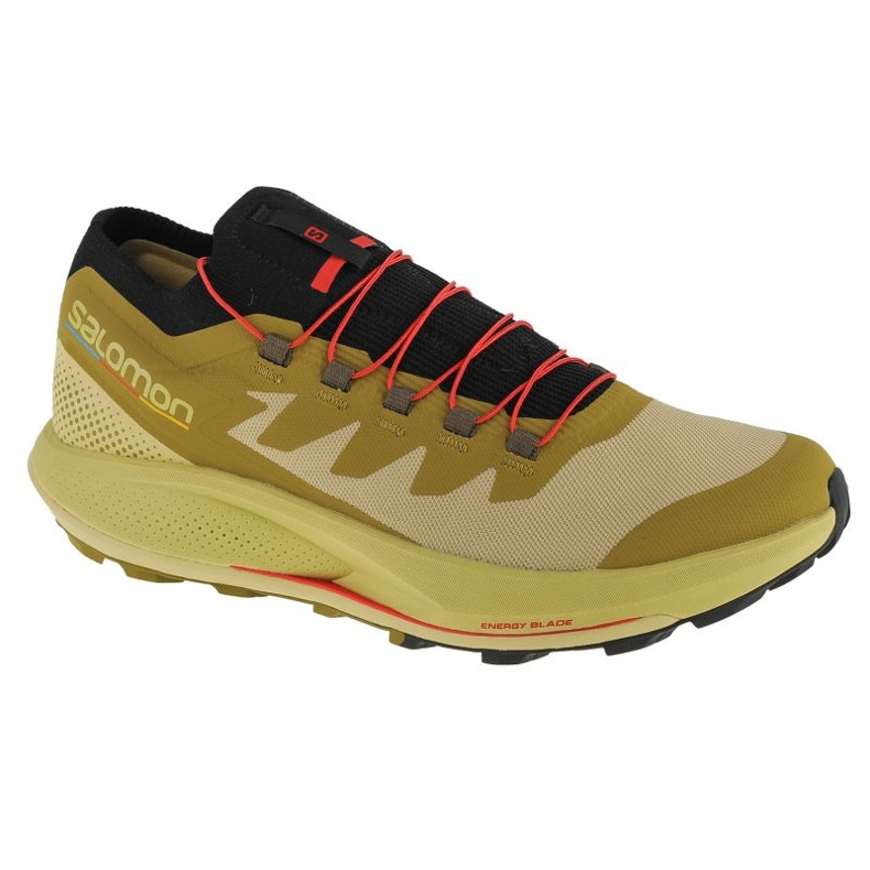 Scarpe Salomon Pulsar Trail-Pro M 415936 verde