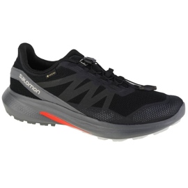 Scarpe da corsa Salomon Hypulse Gtx M 415959 nero