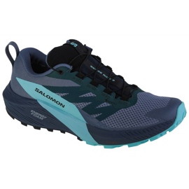 Scarpe Salomon Sense Ride 5 Gtx M 471474 blu