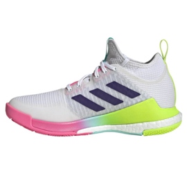 Scarpe da pallavolo adidas CrazyFlight Mid W HP3337 bianca bianca