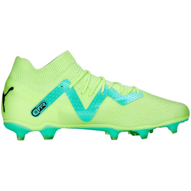 Scarpe da calcio Puma Future Pro FG/AG M 107171 03 verde verde