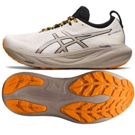 Scarpe da corsa Asics Gel-Nimbus 25 Tr M 1011B769 200 bianca