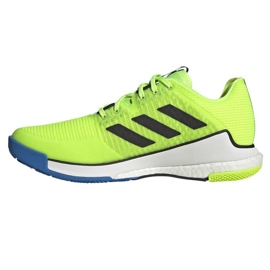 Scarpe da pallavolo Adidas CrazyFlight M HP3356 verde