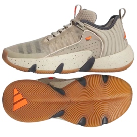 Scarpe da basket Adidas Trae Unlimited M IE9358 beige