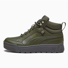 Scarpe Puma Tarrenz Sb Iii Puretex M 393930-03 verde