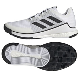 Scarpe da pallavolo Adidas CrazyFlight M HP3355 bianco