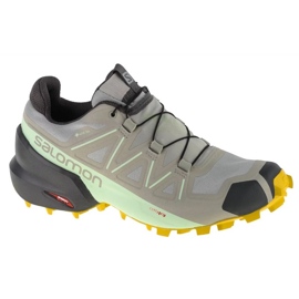 Scarpe da corsa Salomon Speedcross 5 Gtx W 416128 grigio