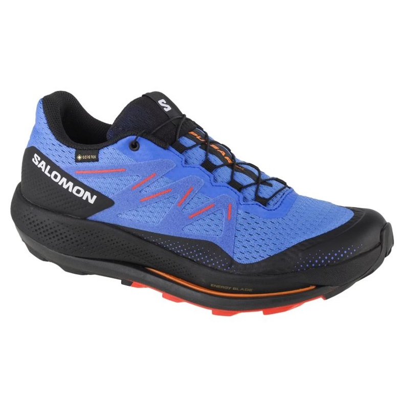 Scarpe da corsa Salomon Pulsar Trail Gtx M 416080 blu