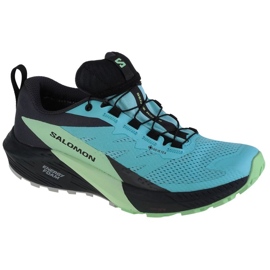 Scarpe da corsa Salomon Sense Ride 5 Gtx W 472160 blu