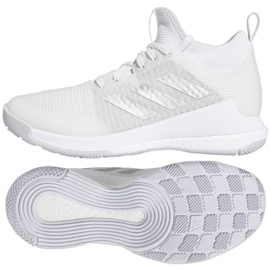 Scarpe da pallavolo Adidas Crazyflight Mid W HQ3491 bianca