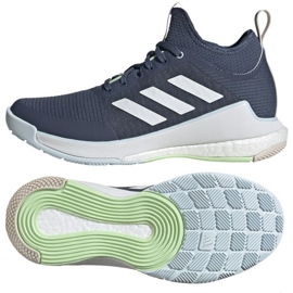 Scarpe da pallavolo Adidas Crazyflight Mid W IG3971 blu