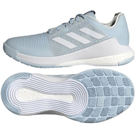 Scarpe da pallavolo Adidas Crazyflight W IG3969 blu
