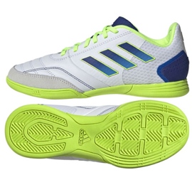 Scarpe da calcio Adidas Top Sala Competition In Jr IF6908 bianca