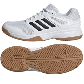 Scarpe da pallavolo Adidas Speedcourt M IE8032 bianca