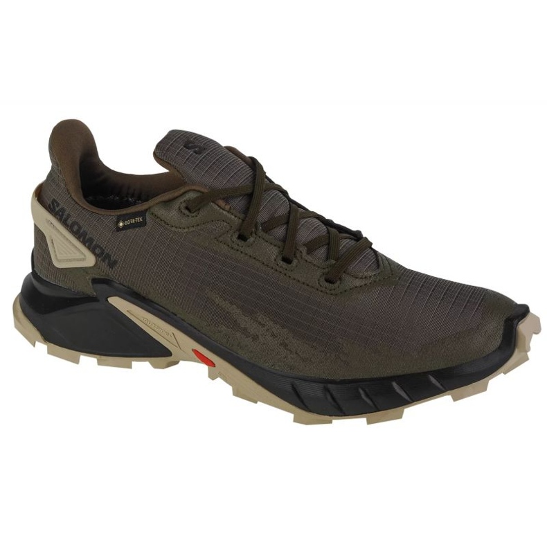 Scarpe da corsa Salomon Alphacross 4 Gtx M 471169 verde