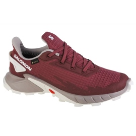 Scarpe da corsa Salomon Alphacross 4 Gtx W 471174 rosa