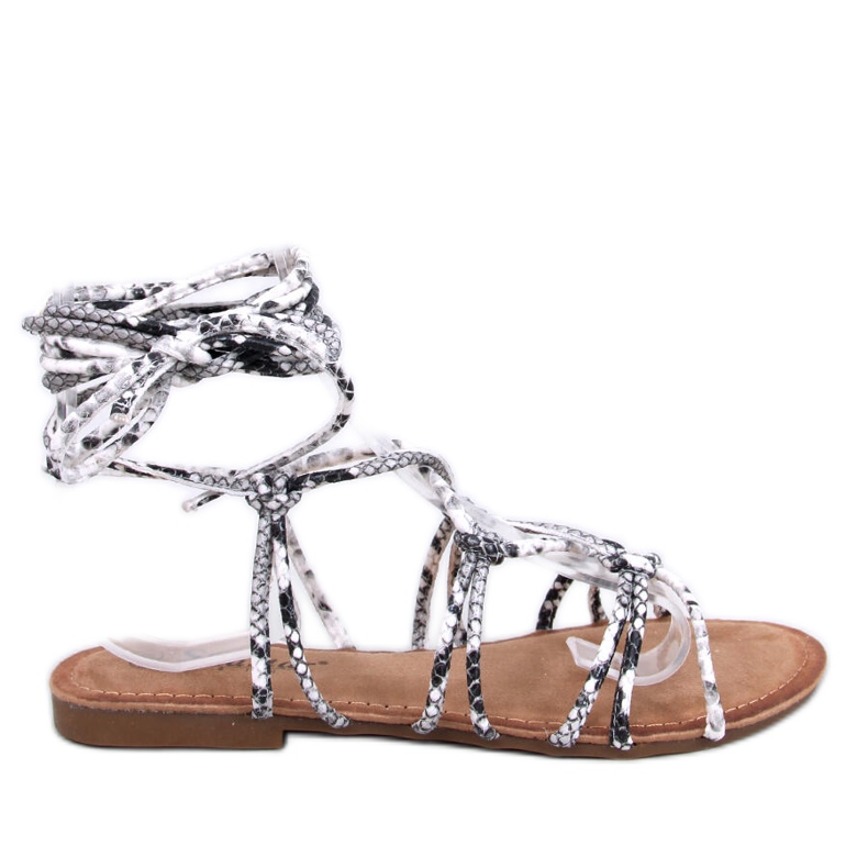 Sandali gladiatore Morin Serpentine grigio