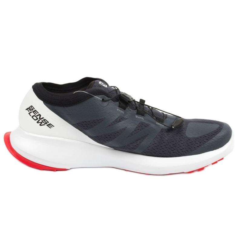 Scarpe Salomon Sense Flow 409672 Gtx grigio