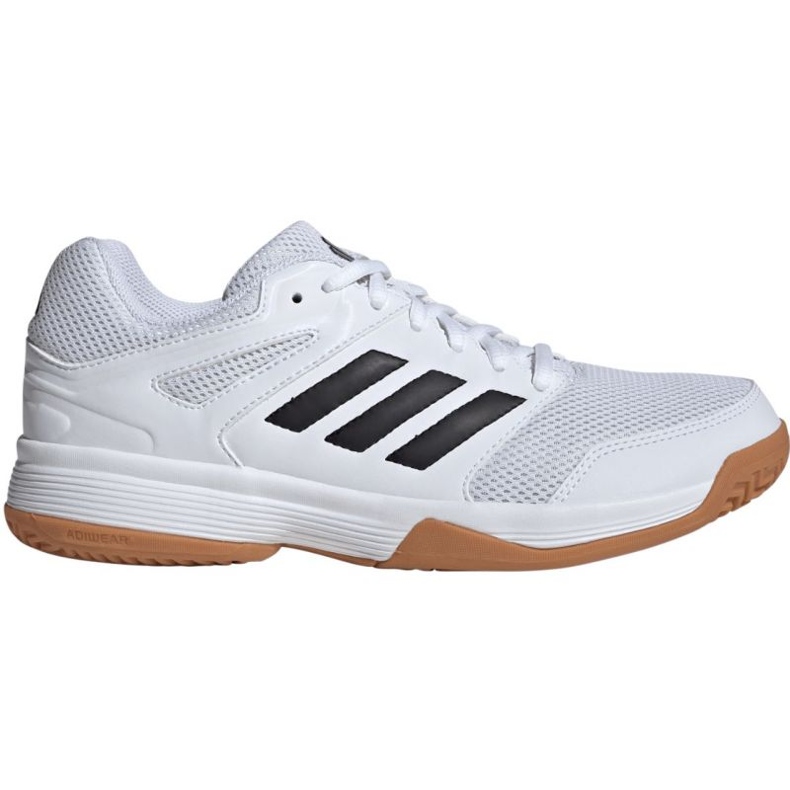 Scarpe da pallavolo Adidas Speedcourt In IH3159 bianca