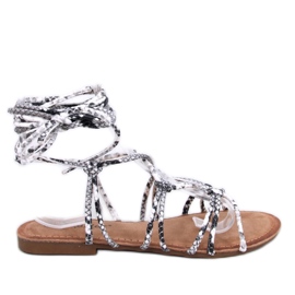 Sandali gladiatore Morin Serpentine grigio