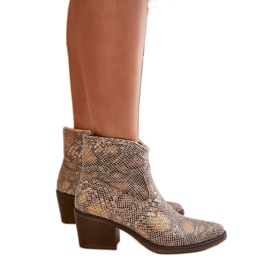 Stivali da cowboy Gold Snake da donna multicolore