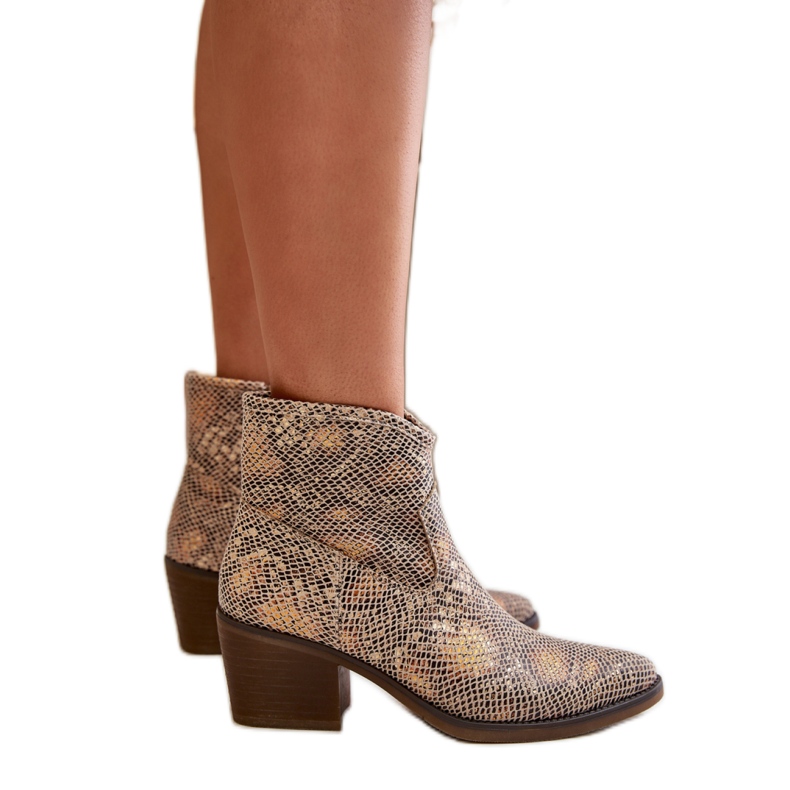 Stivali da cowboy Gold Snake da donna multicolore