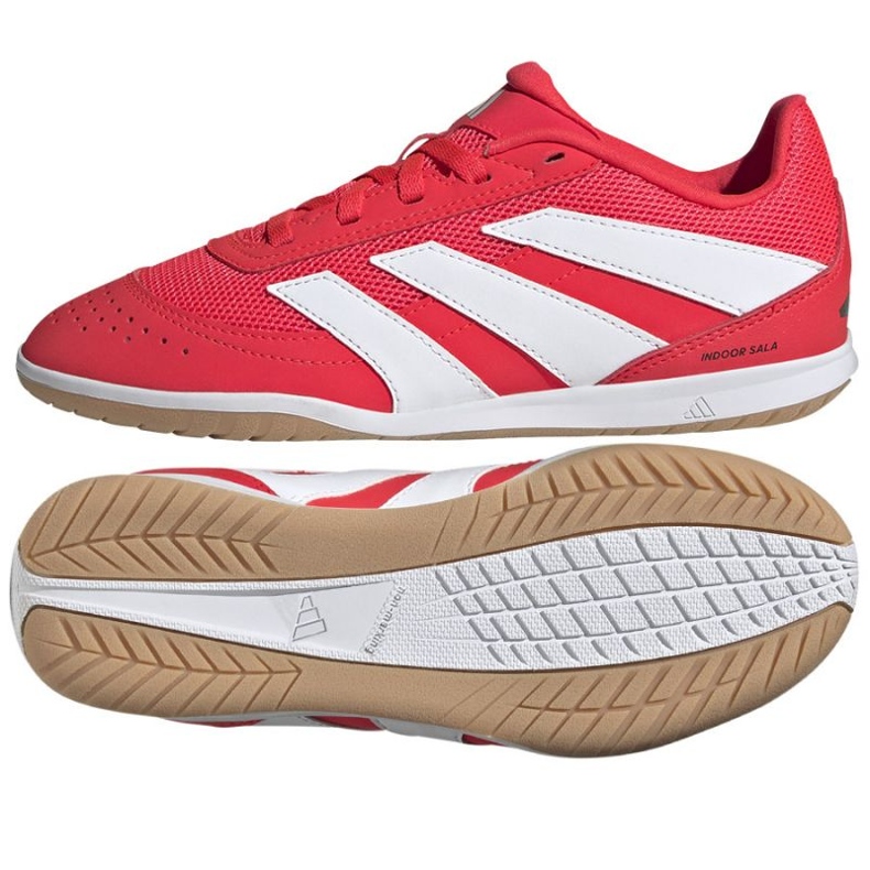 Adidas Predator Club Sala nelle scarpe rosse JR3126 rosso